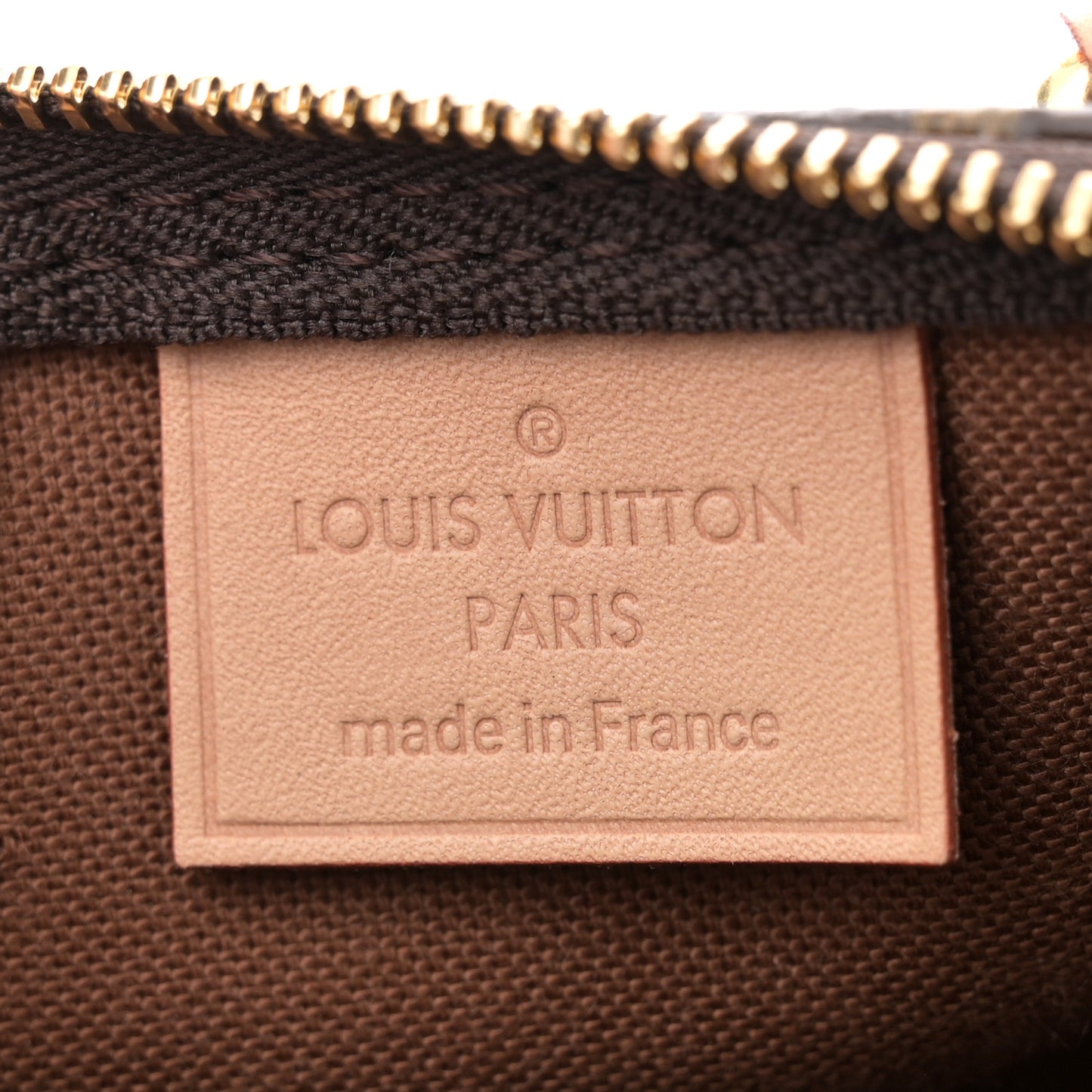 Monogram Nano Speedy