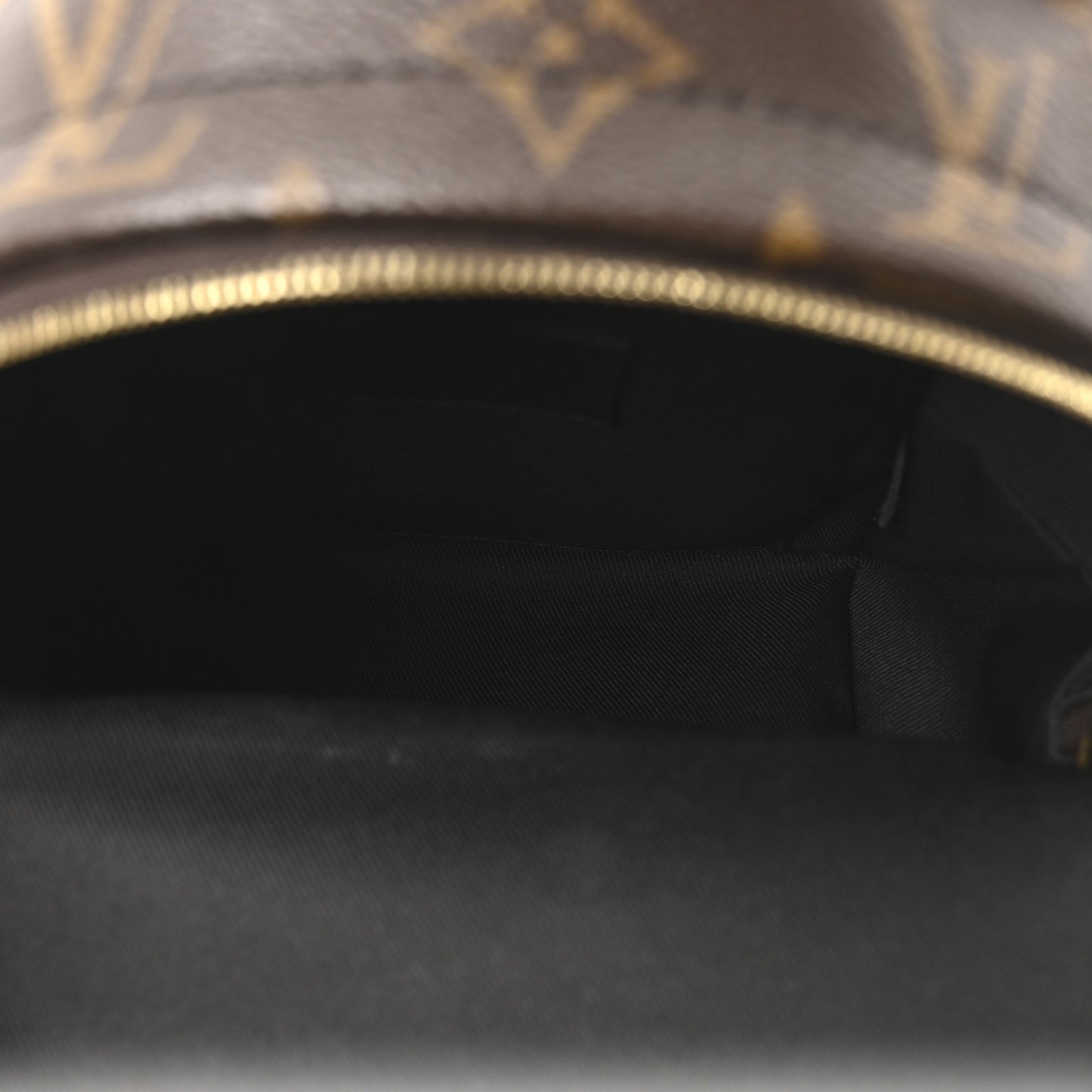 Monogram Palm Springs Backpack Mini