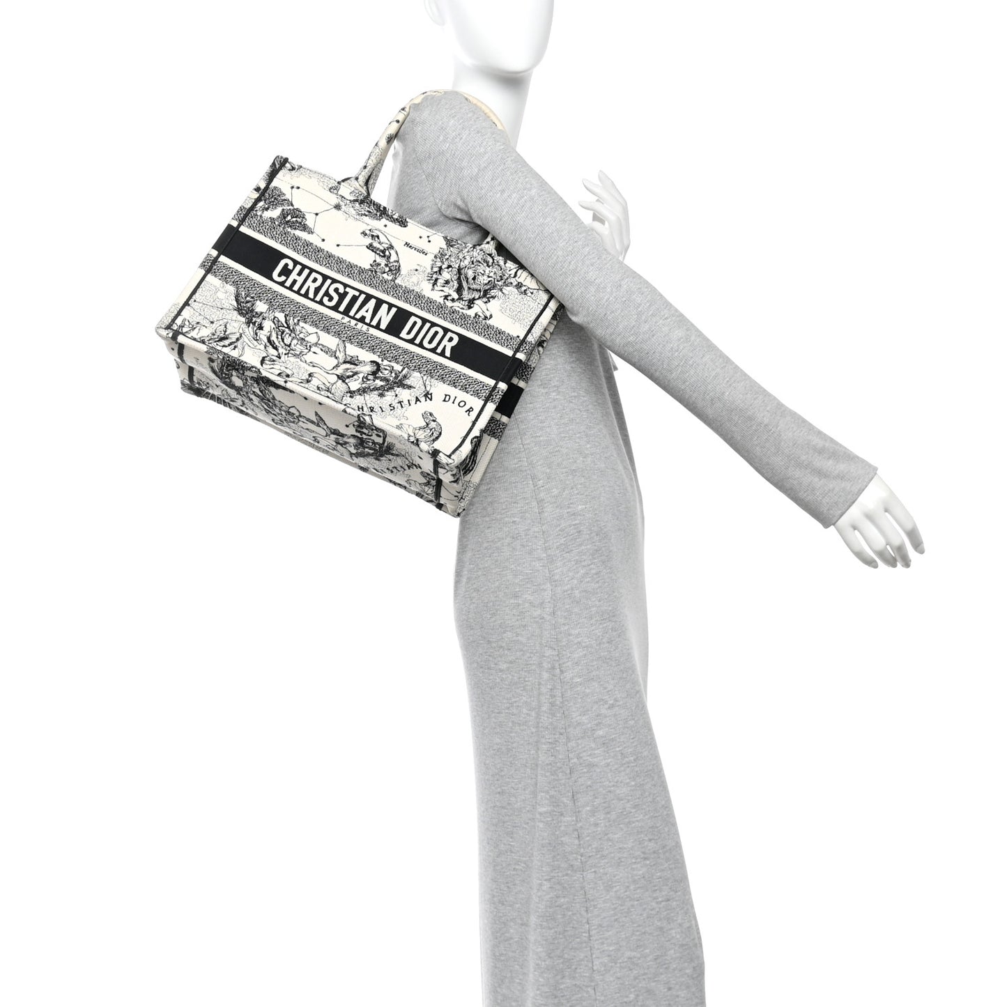 Canvas Zodiac Toile De Jouy Embroidered Medium Book Tote Latte