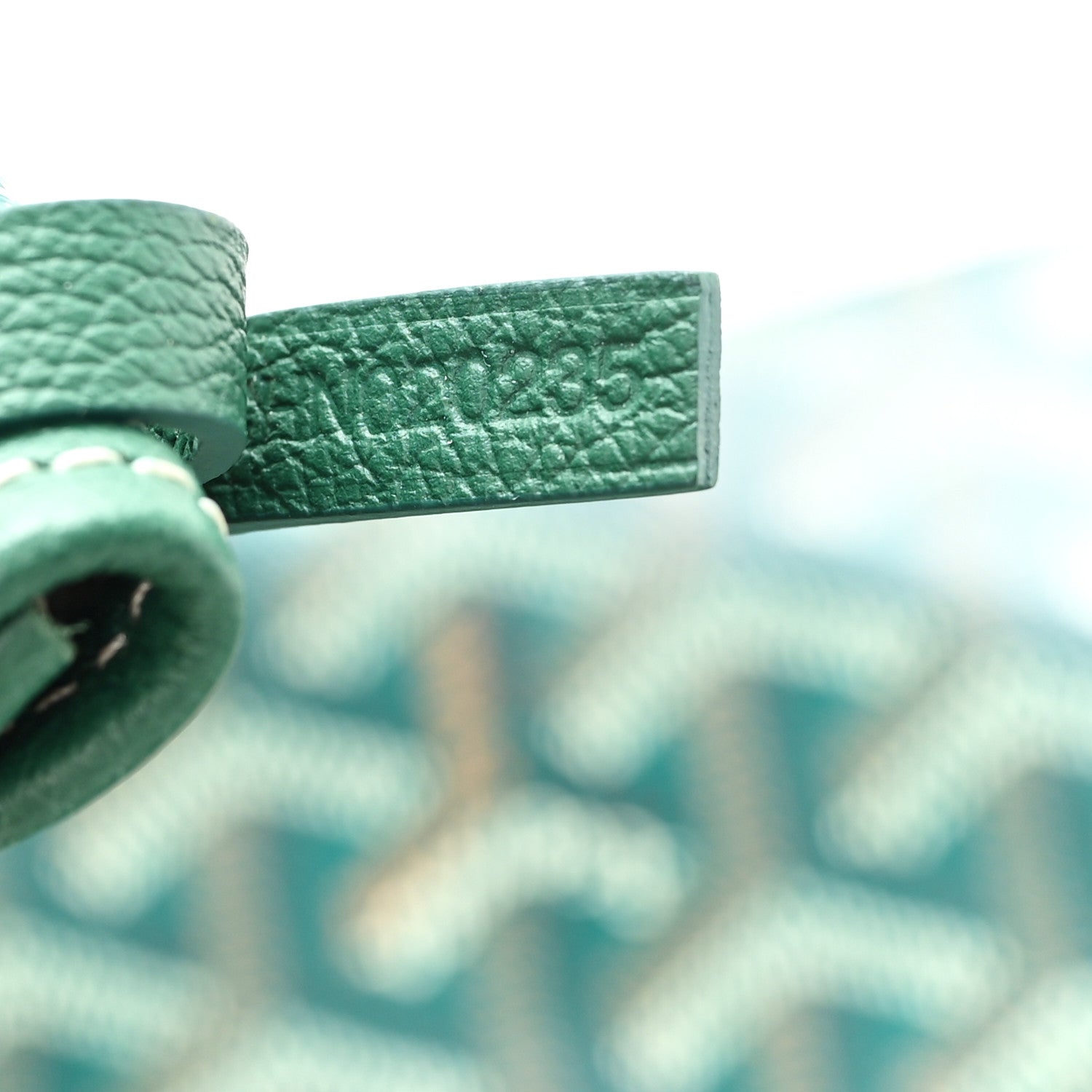Goyard Goyardine Saint Louis PM Green 8 of 12