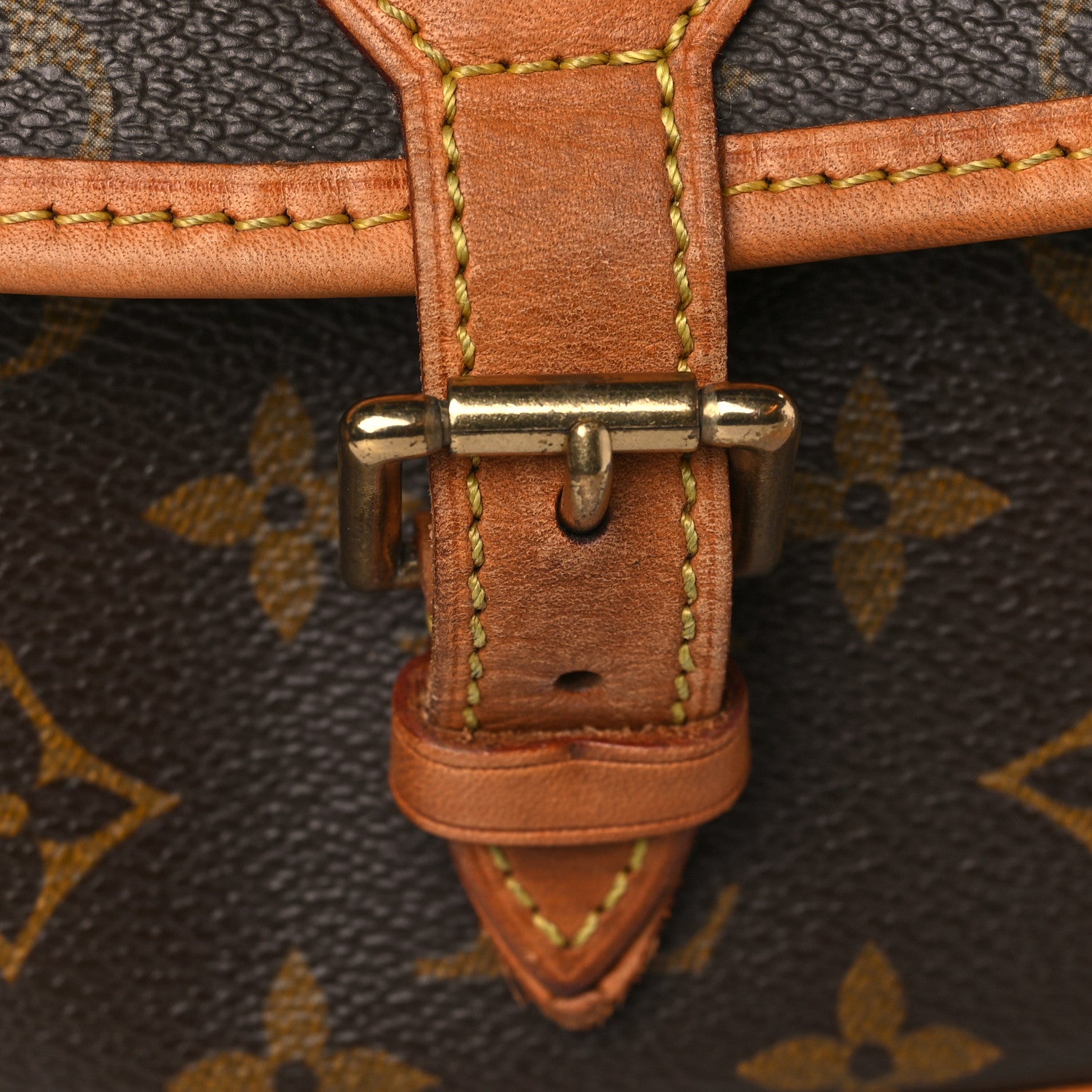 Louis Vuitton Monogram Sologne 10 of 11