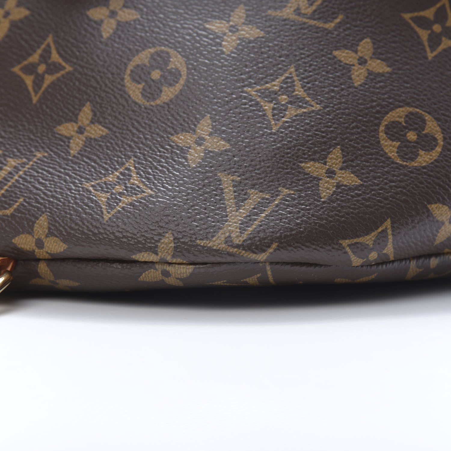 Louis Vuitton Monogram Bumbag 11 of 12