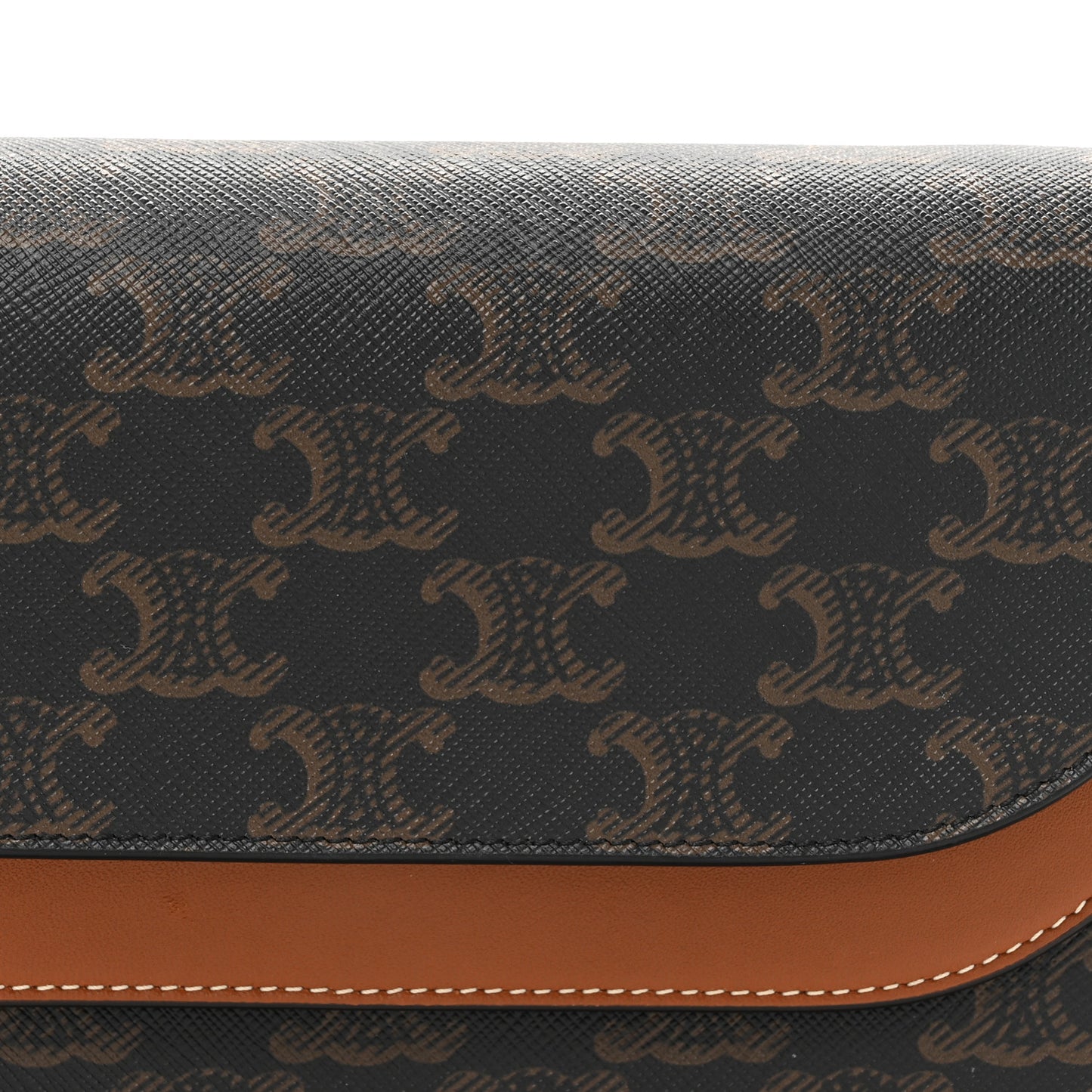 Triomphe Canvas Lambskin Wallet On Strap Tan