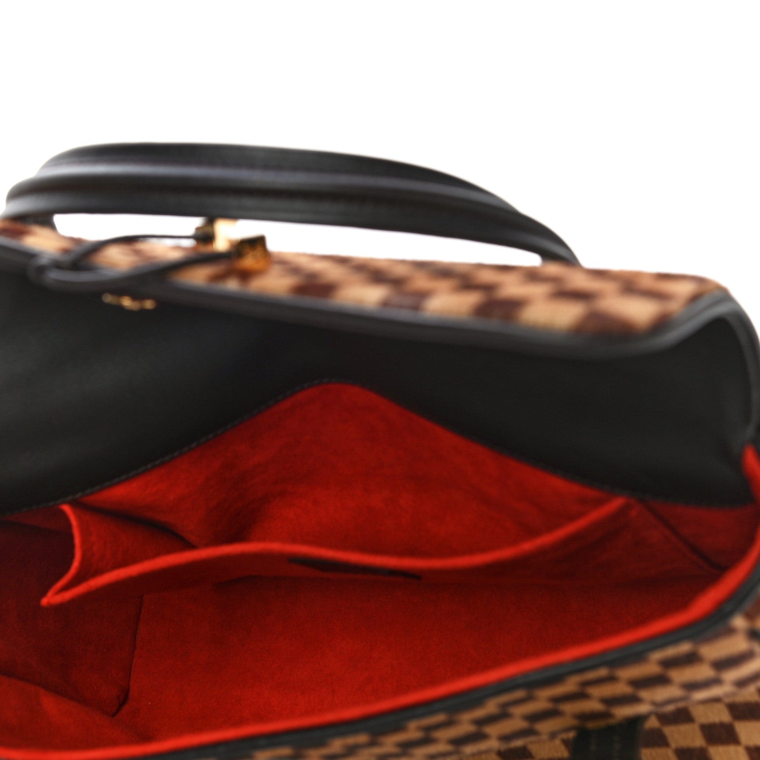 Louis Vuitton Damier Calf Hair Sauvage Lionne 5 of 9