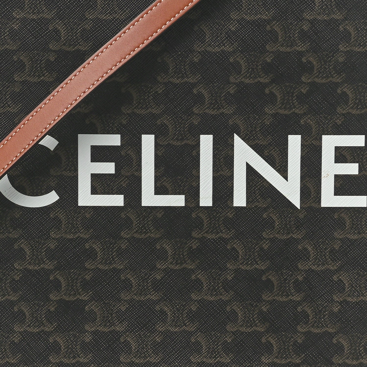 Celine Triomphe Canvas Calfskin Small Vertical Cabas Tan 6 of 8