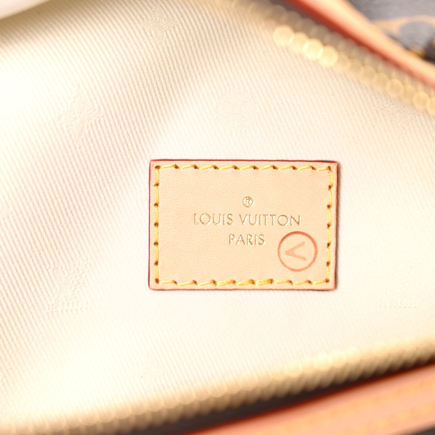 Louis Vuitton Monogram High Rise Bumbag 6 of 10