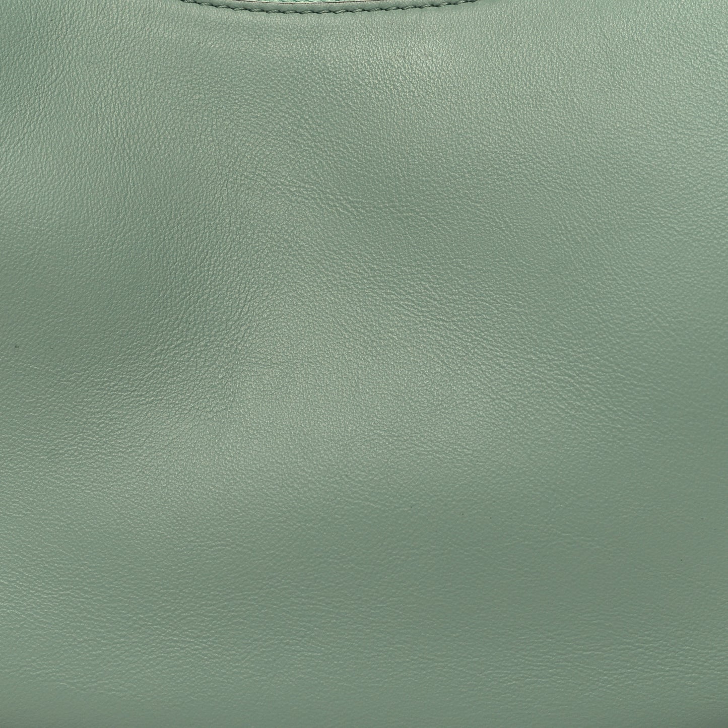 Vitello Grace Matte Small Fendigraphy Hobo Bag Menta