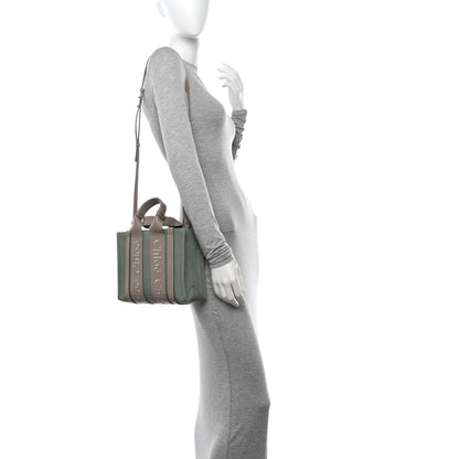 Chloe Cotton Calfskin Small Woody Ribbon Tote Faded Green 2 of 10