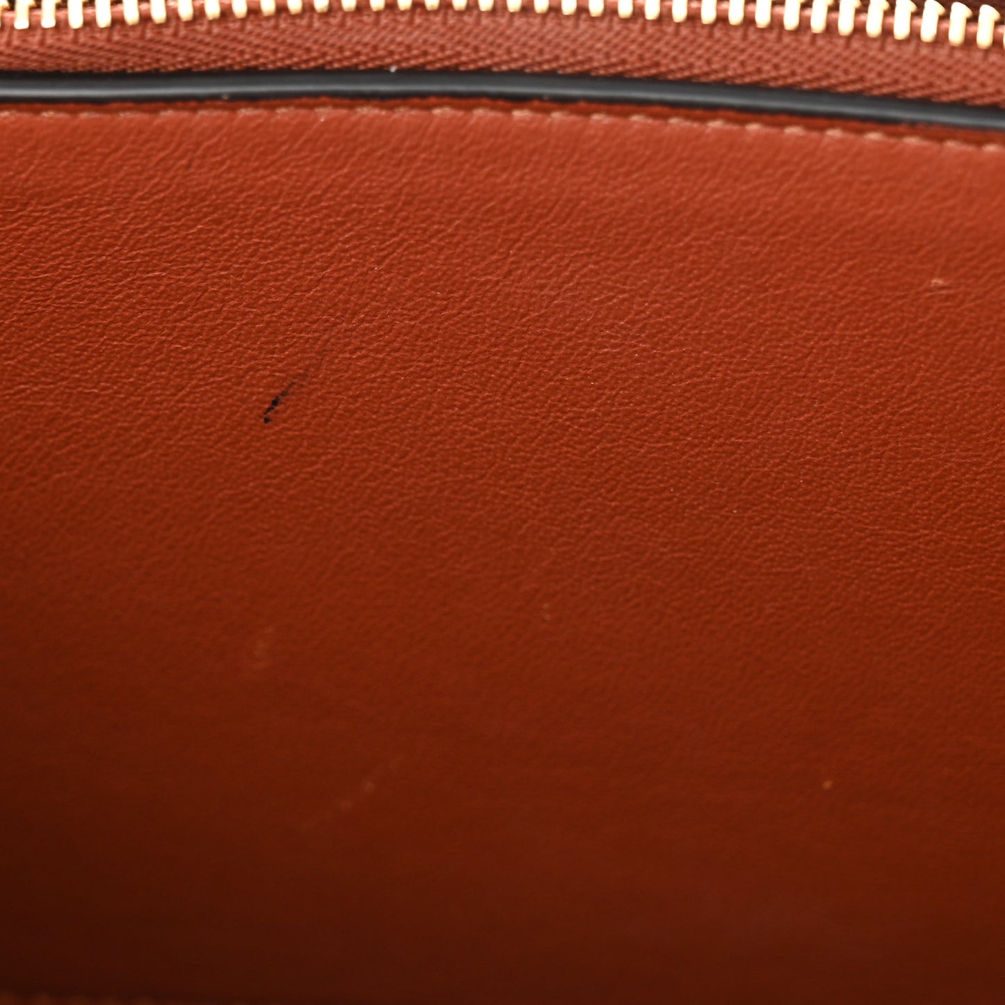 Shiny Smooth Calfskin Medium Frame Shoulder Bag Maple Frost