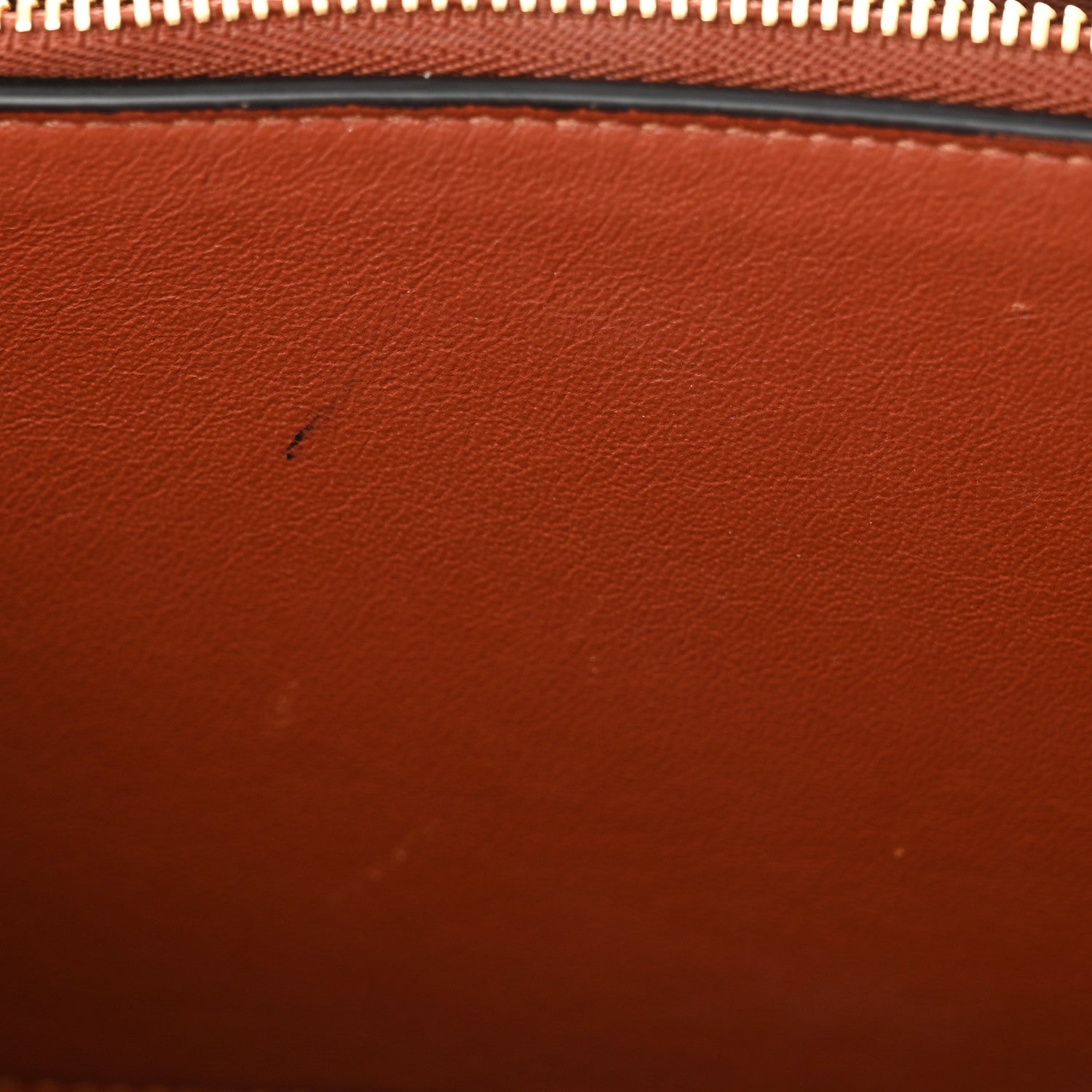 Celine Shiny Smooth Calfskin Medium Frame Shoulder Bag Maple Frost 11 of 11