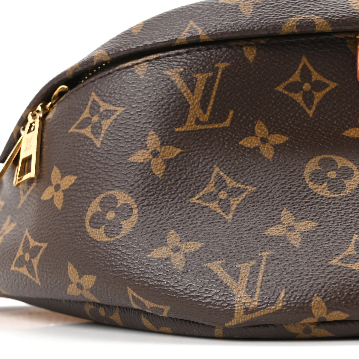 Louis Vuitton Monogram Bumbag 7 of 8