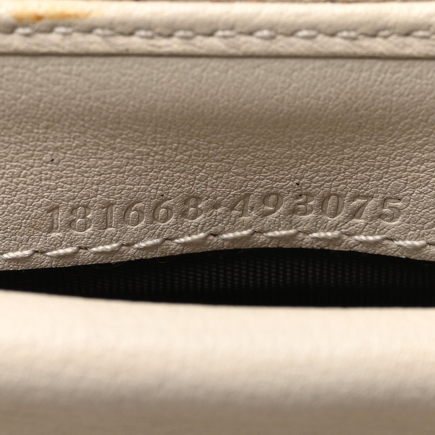 Guccissima Ladies Web Long Wallet Off White
