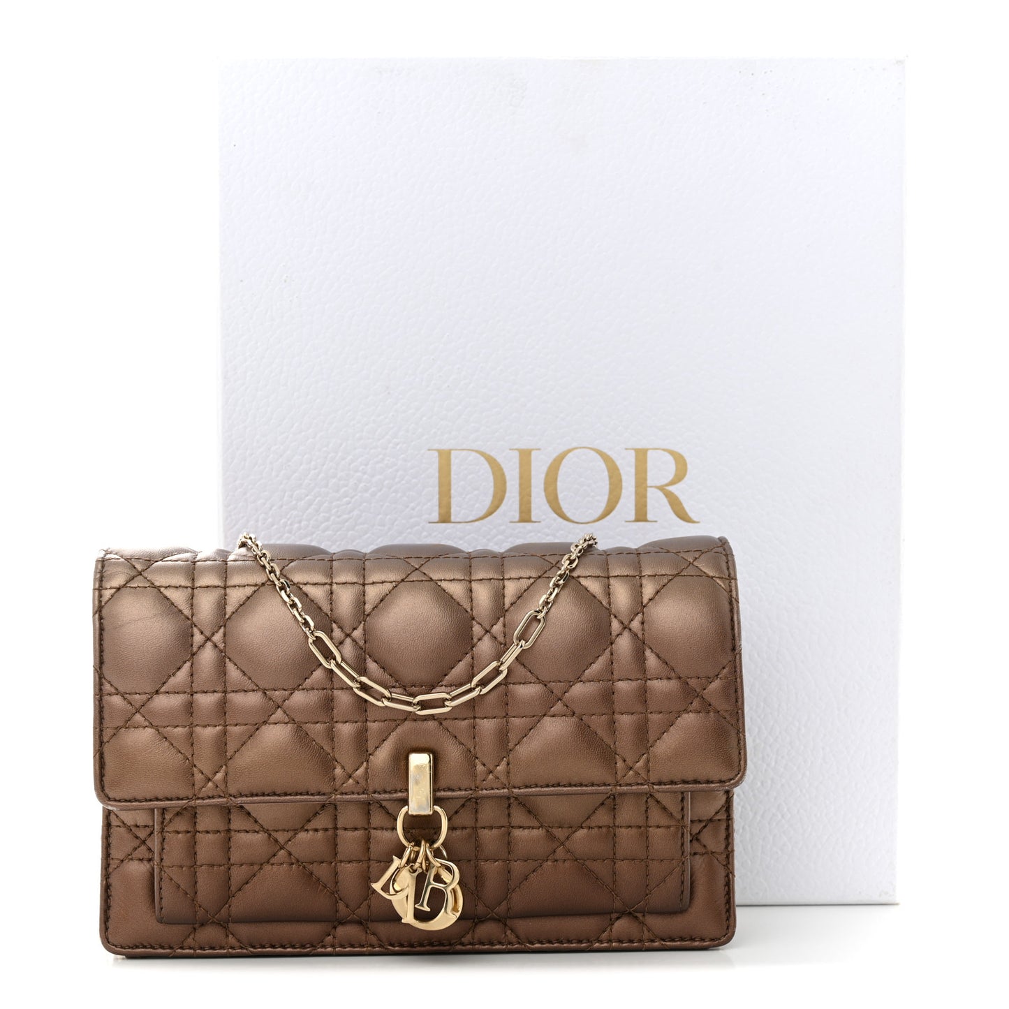 Iridescent Lambskin Gradient Chain Lady Dior Chain Pouch Metallic Pink