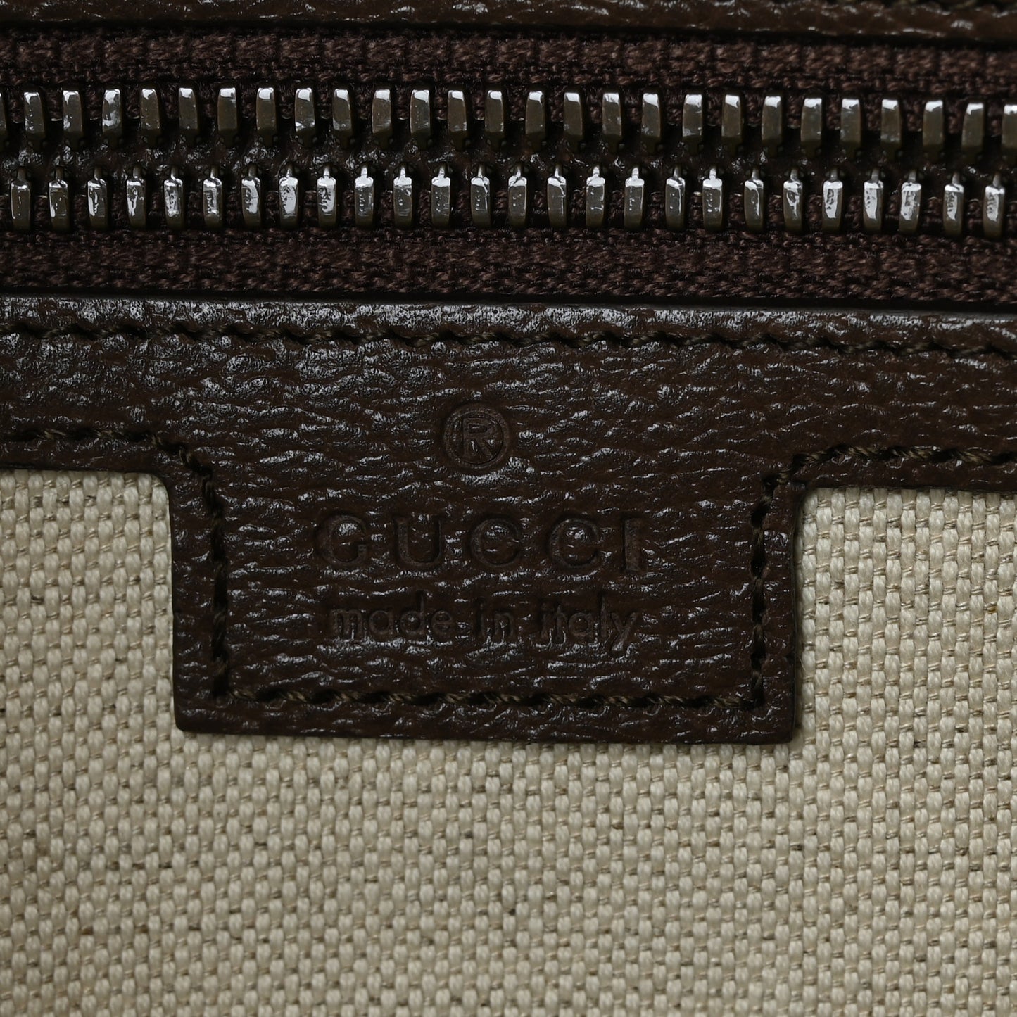 GG Supreme Monogram Web Small Ophidia Half Moon Hobo Brown