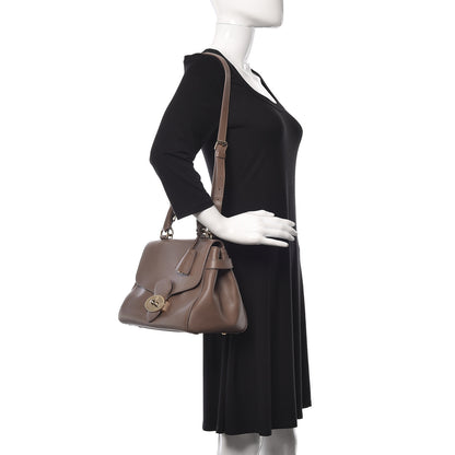 Mulberry Polished Calfskin Primrose Taupe 2 of 24