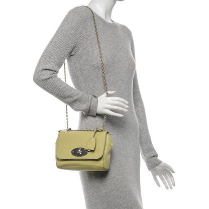 Mulberry Glossy Goatskin Small Lily Flap Pistachio 2 of 7