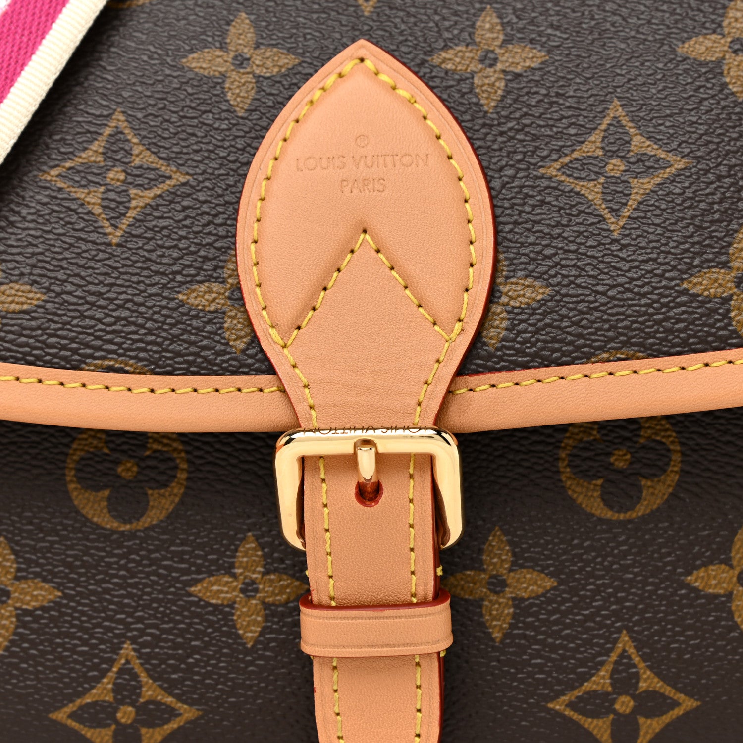 Louis Vuitton Monogram Diane Fuchsia 7 of 11