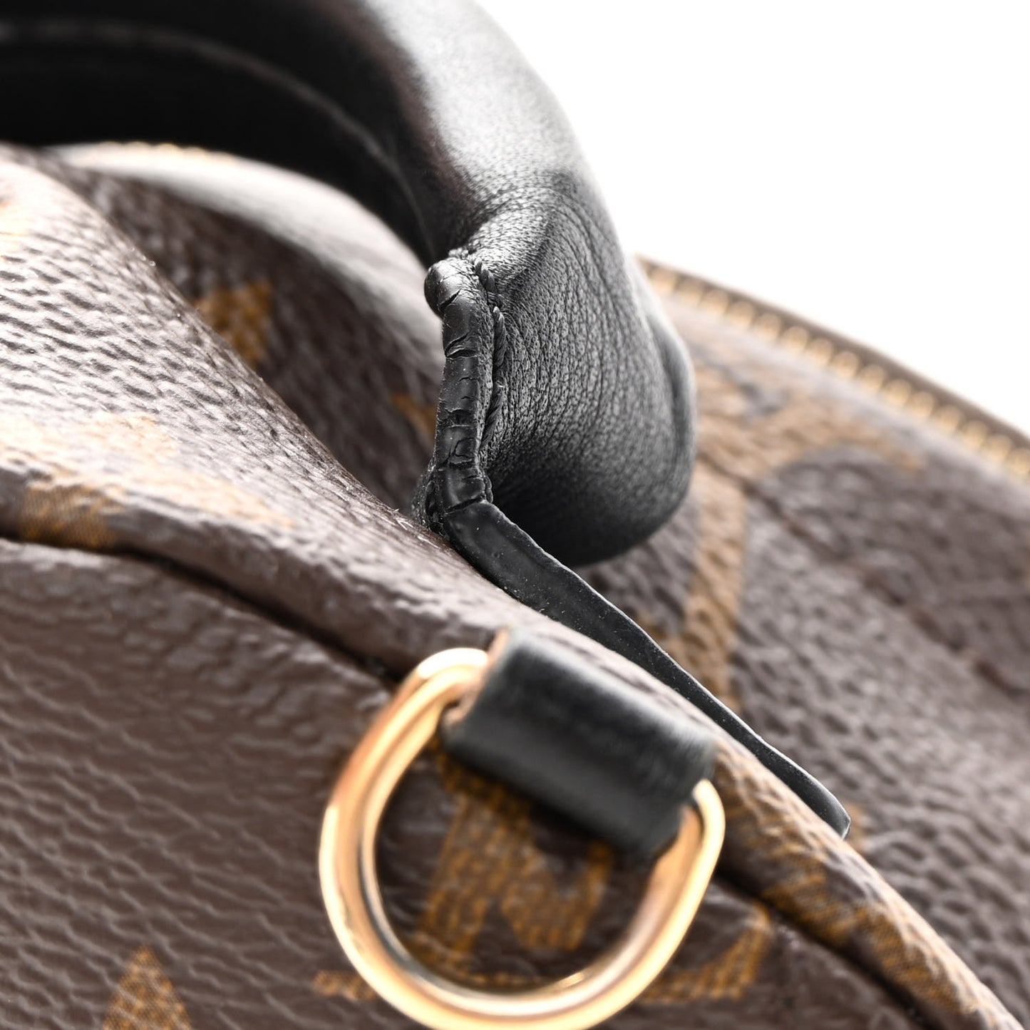 Monogram Palm Springs Backpack Mini