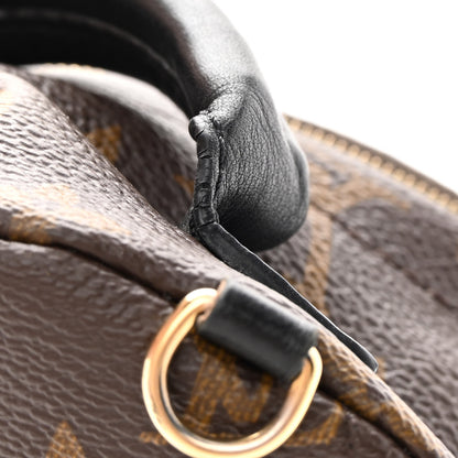 Louis Vuitton Monogram Palm Springs Backpack Mini 14 of 16