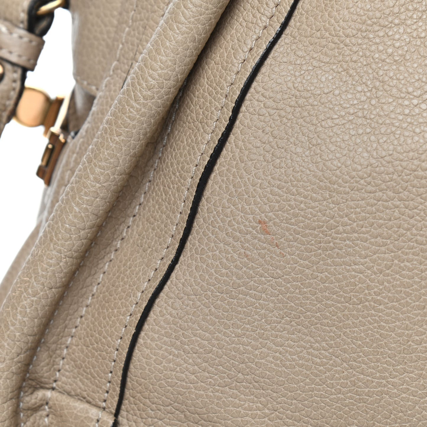 Calfskin Medium Paraty Dove