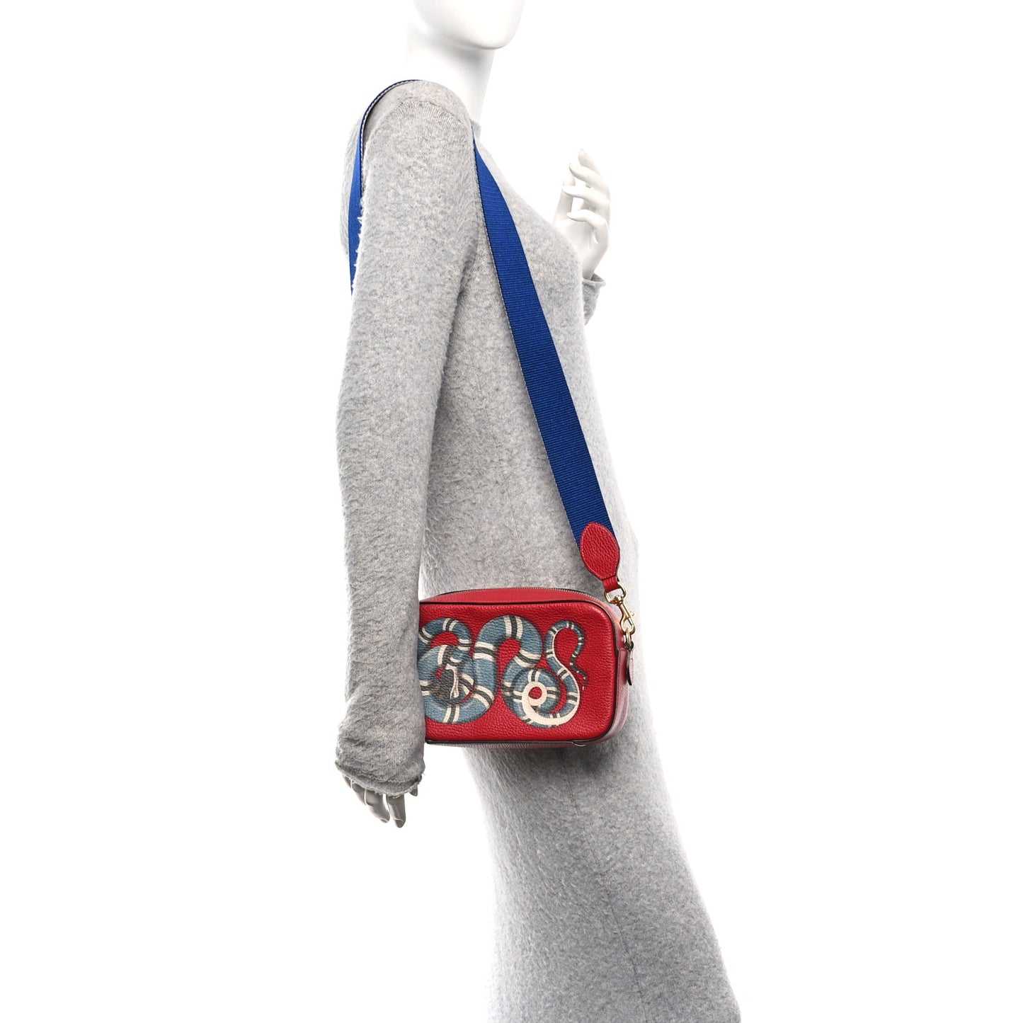 Grained Calfskin Sylvie Web Kingsnake Small Camera Bag Red Multicolor