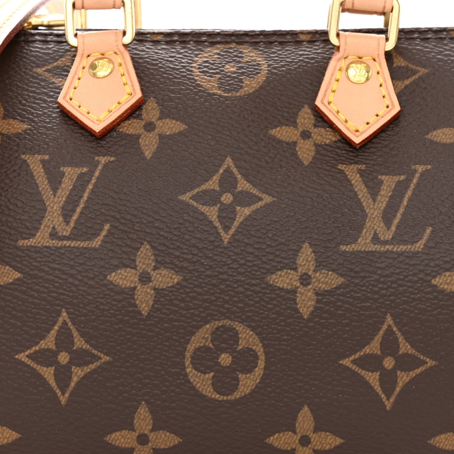 Monogram Nano Speedy