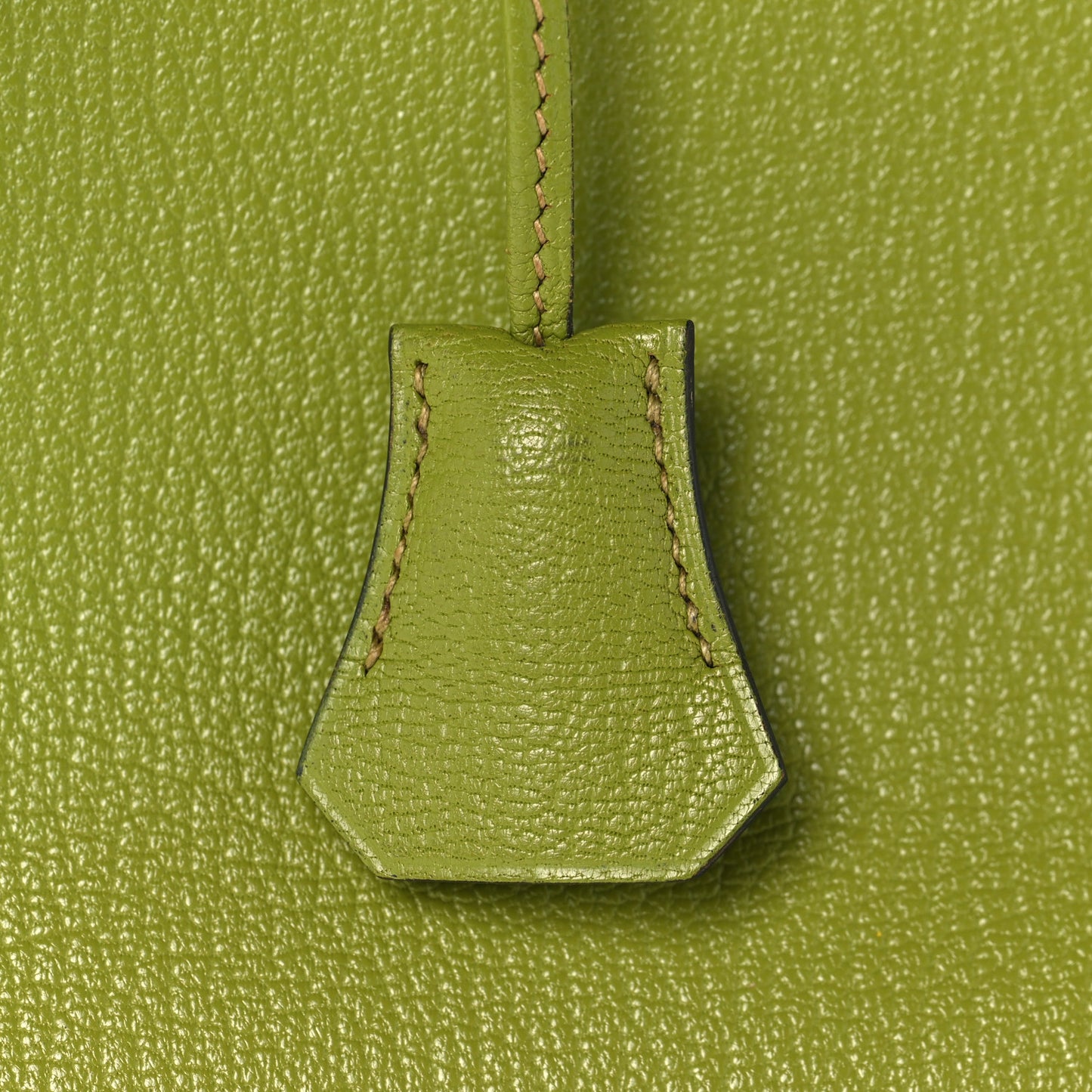 Chevre Mysore Bi-Color Birkin 30 Vert Anis Vert Chartreuse