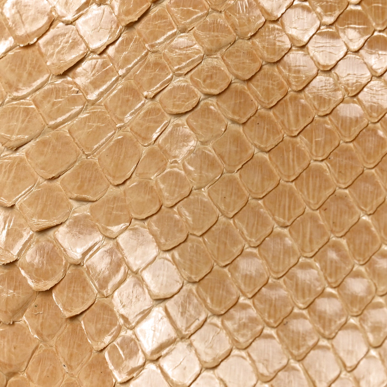 Fendi Snakeskin Baguette Beige 8 of 11