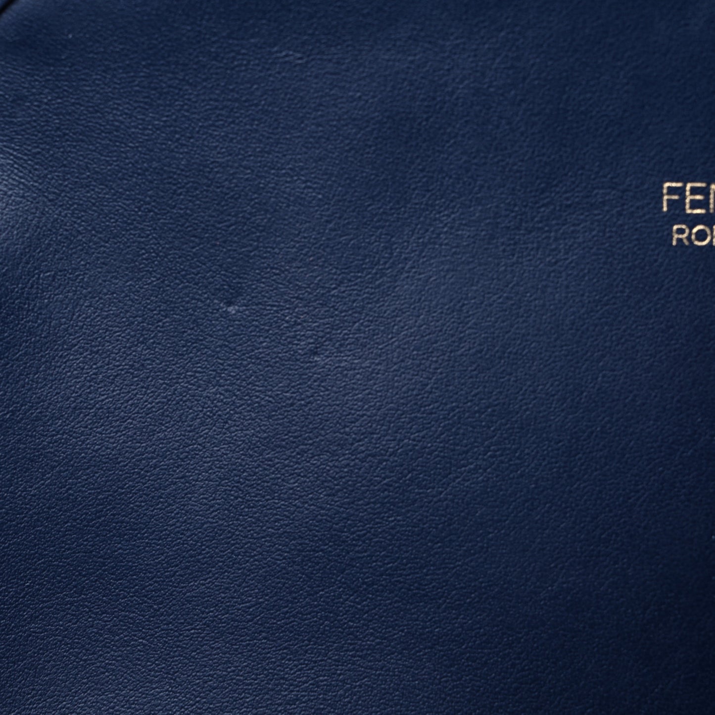 Vitello Century F is Fendi Camera Case Blueberry