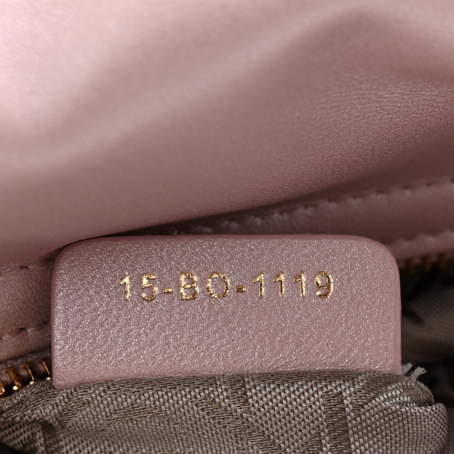 Metallic Lambskin Cannage Mini Lady Dior Lotus