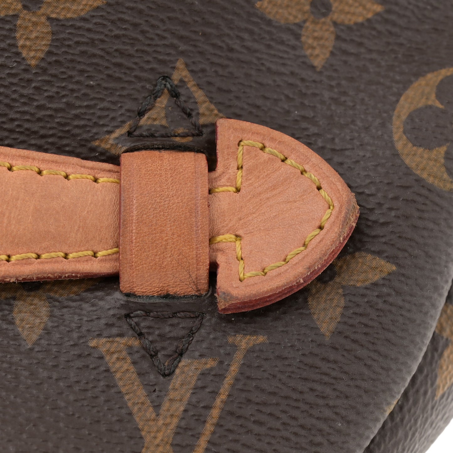 Monogram Bumbag