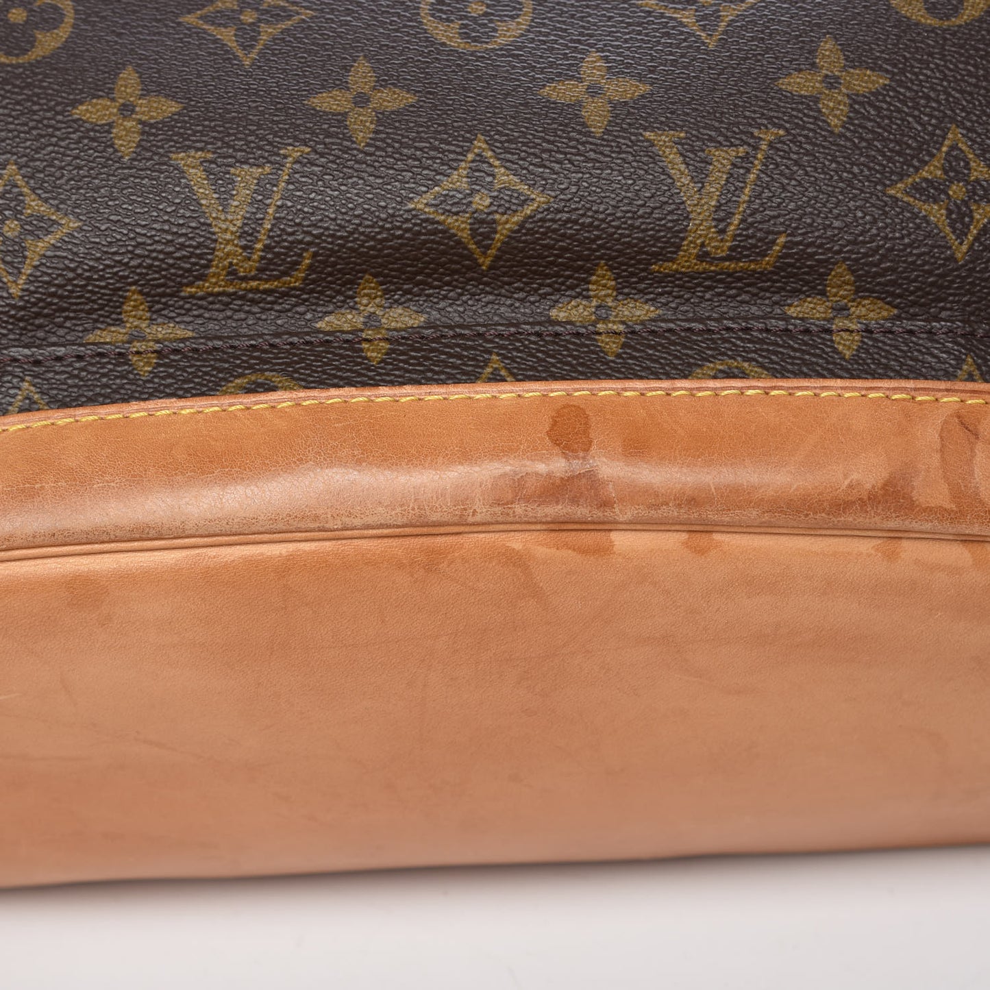 Monogram Montsouris GM Backpack