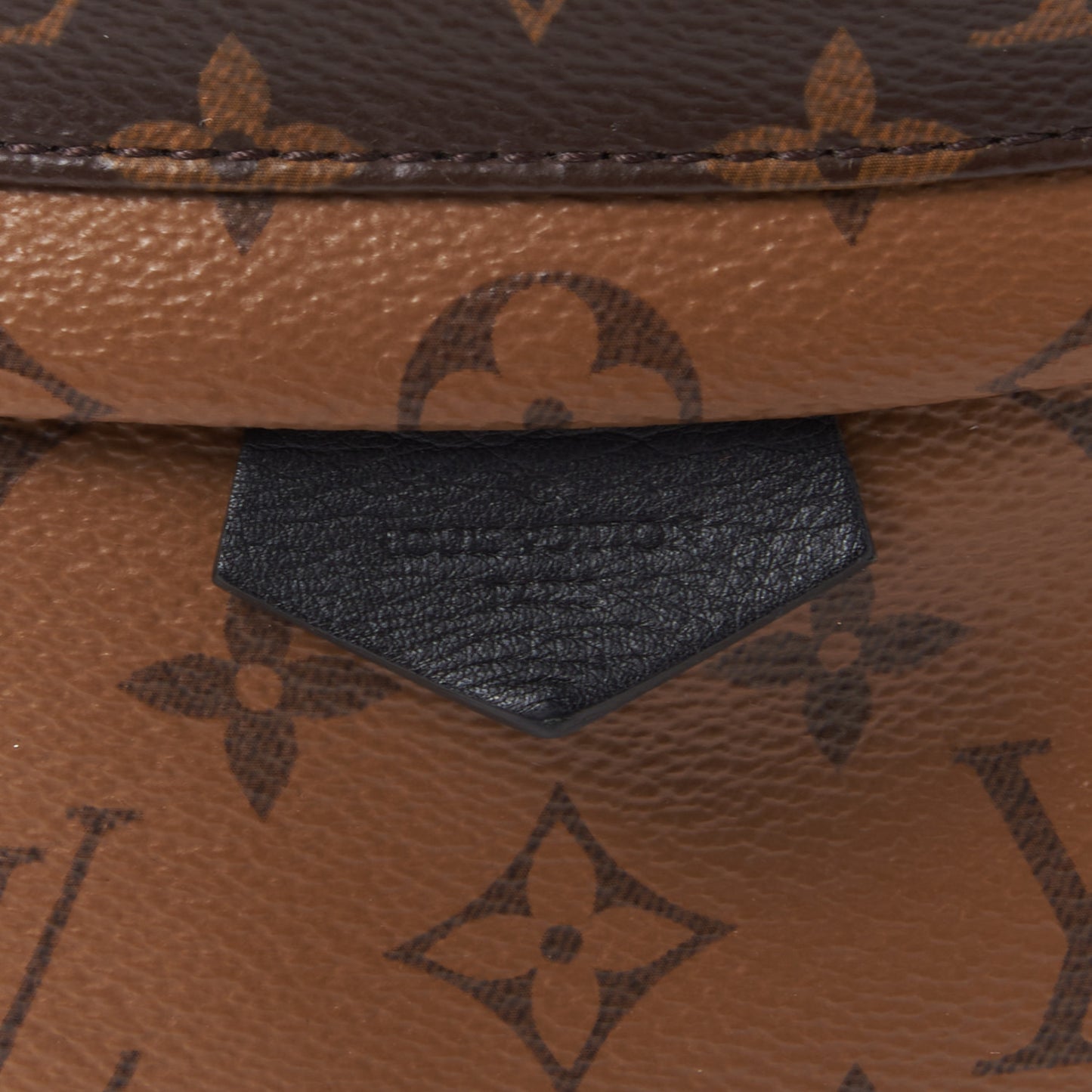 Reverse Monogram Palm Springs Backpack PM