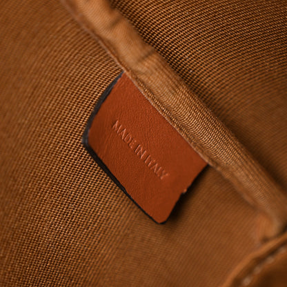 Celine Triomphe Canvas Calfskin Small Bucket Bag Tan 7 of 11