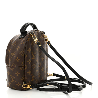Louis Vuitton Monogram Palm Springs Backpack Mini 3 of 13
