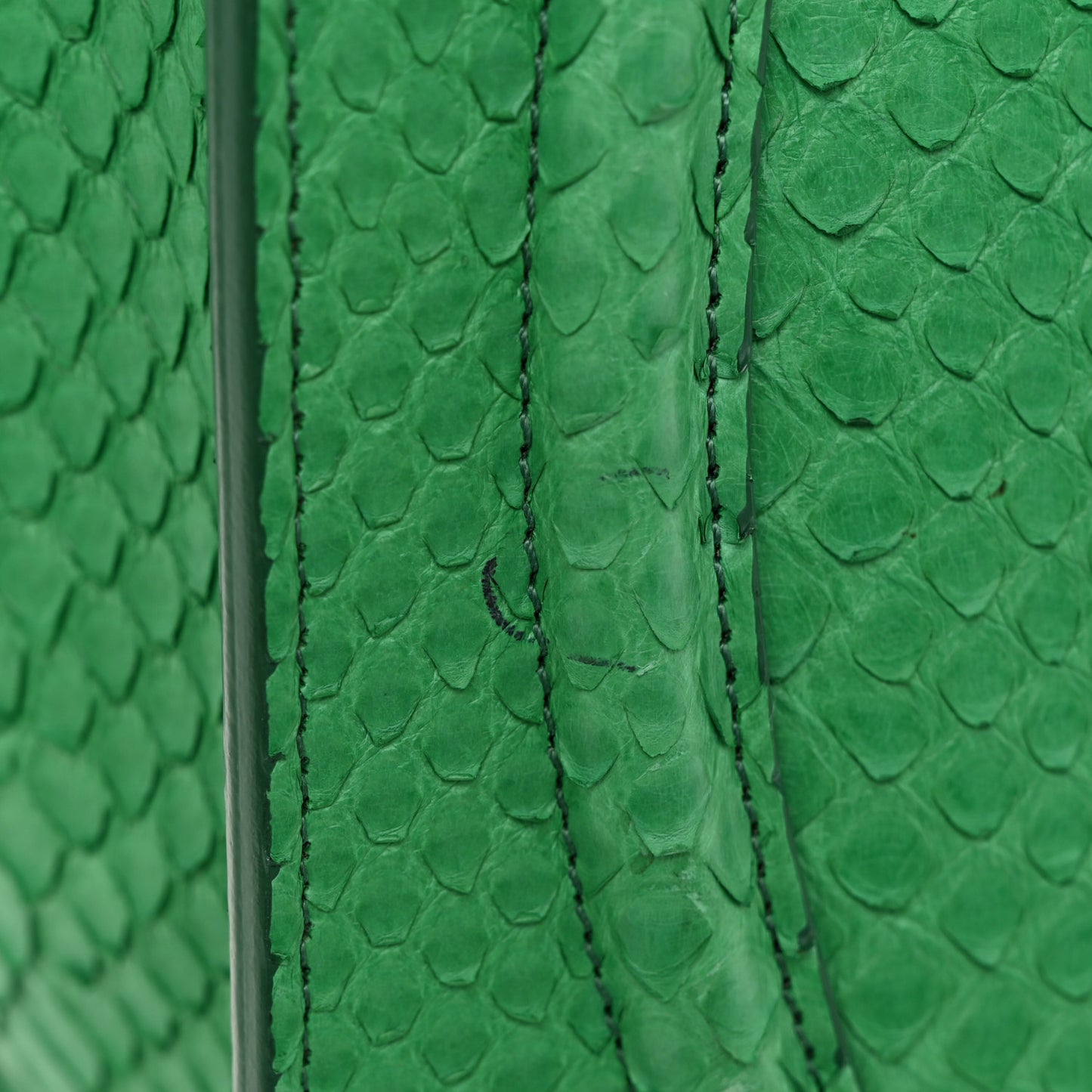 Snakeskin Mini Luggage Green