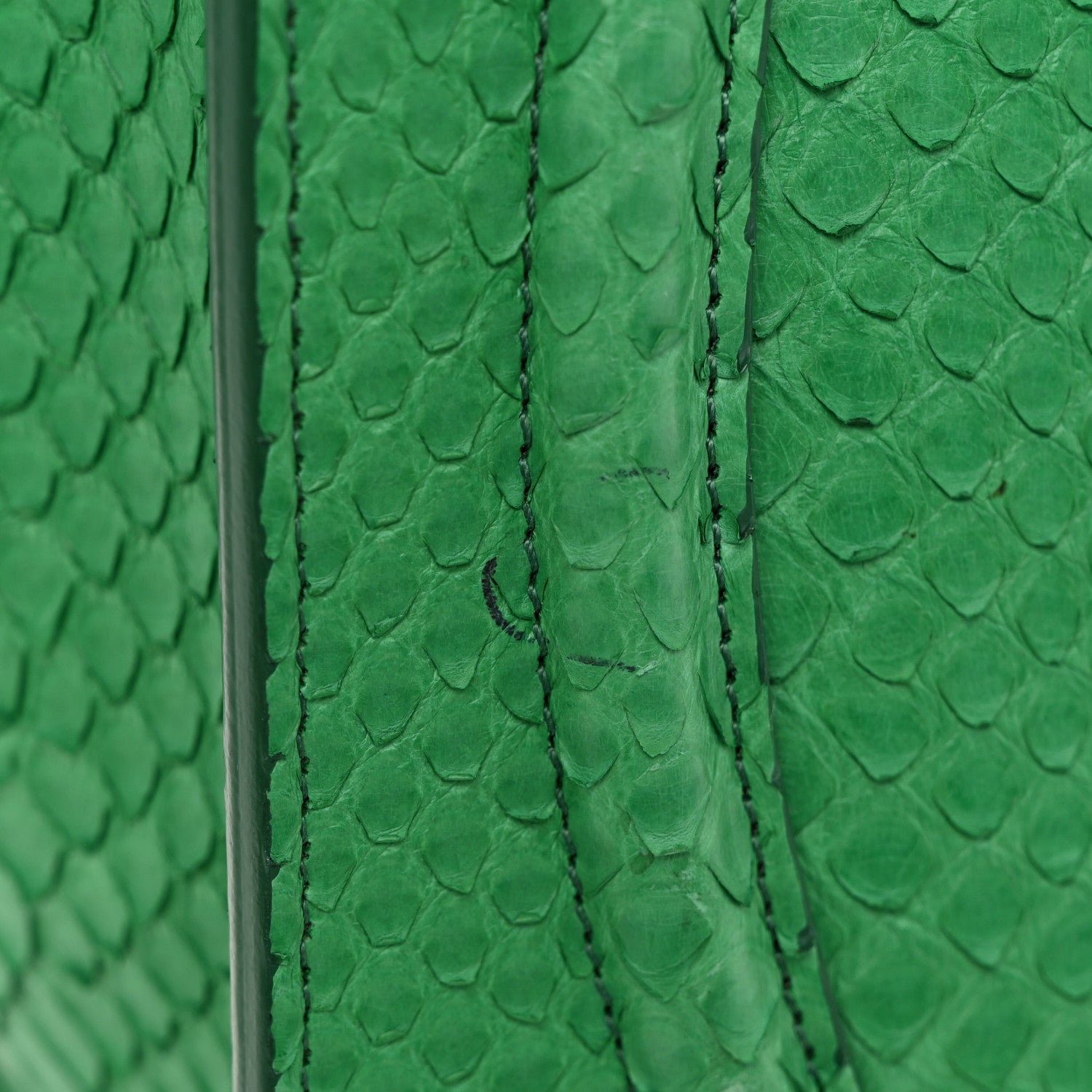 Celine Snakeskin Mini Luggage Green 12 of 12