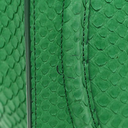 Celine Snakeskin Mini Luggage Green 12 of 12