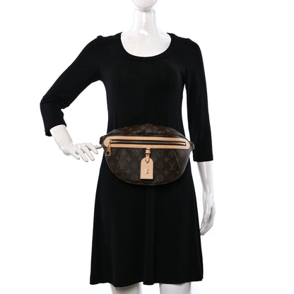 Louis Vuitton Monogram High Rise Bumbag 3 of 9