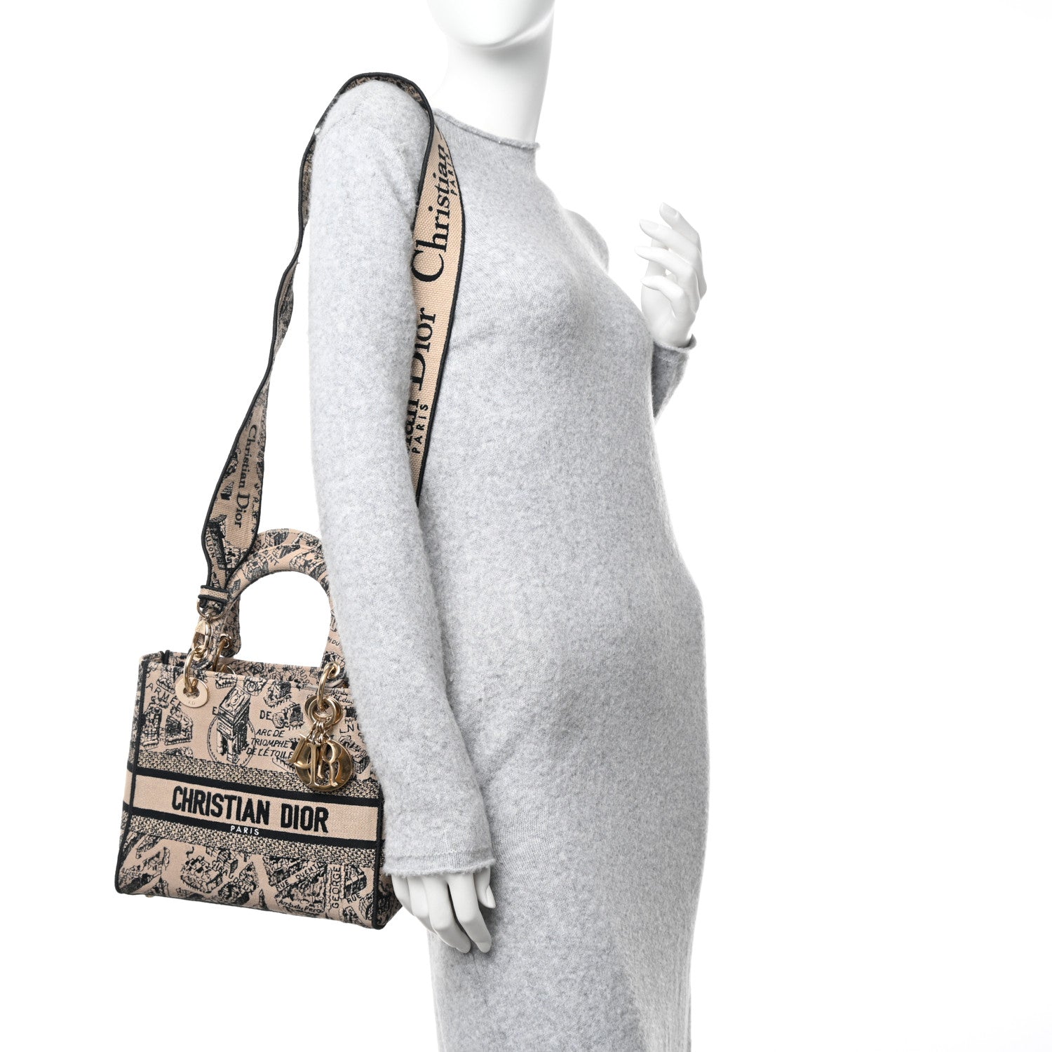 Christian Dior Canvas Embroidered Medium Plan de Paris Lady D-Lite Beige Black 2 of 15