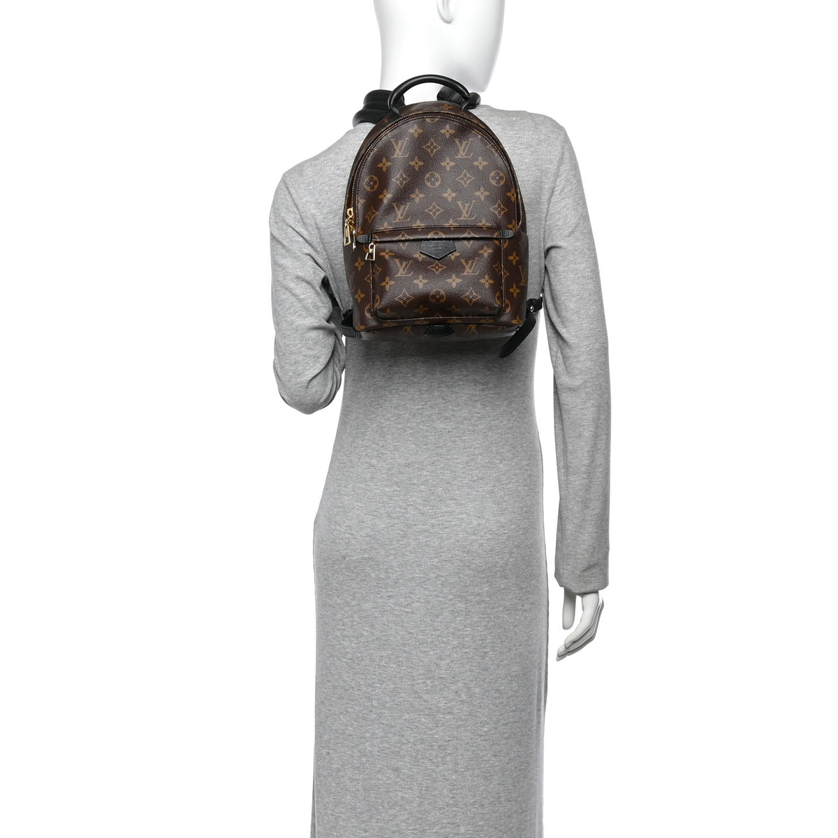 Louis Vuitton Monogram Palm Springs Backpack PM 2 of 9