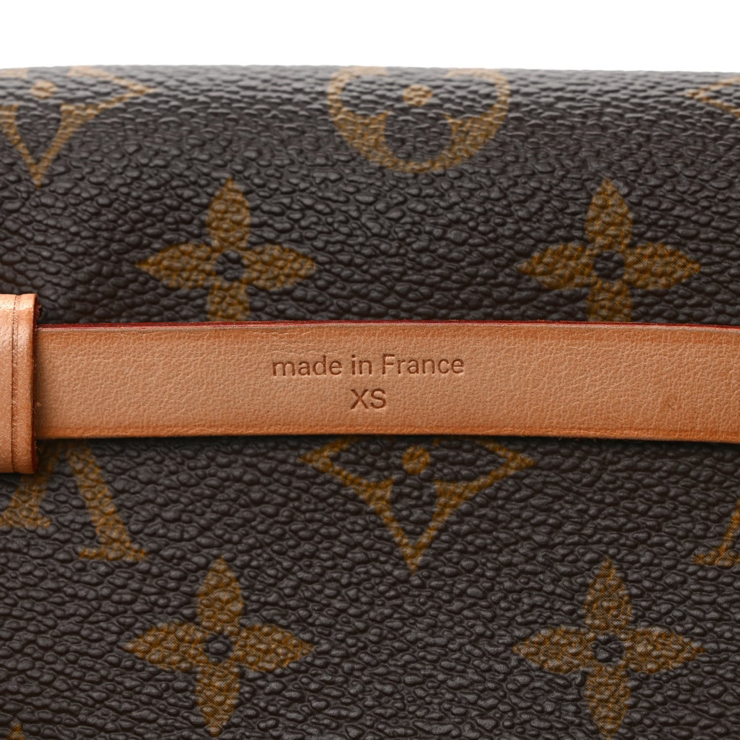 Monogram Pochette Florentine XS