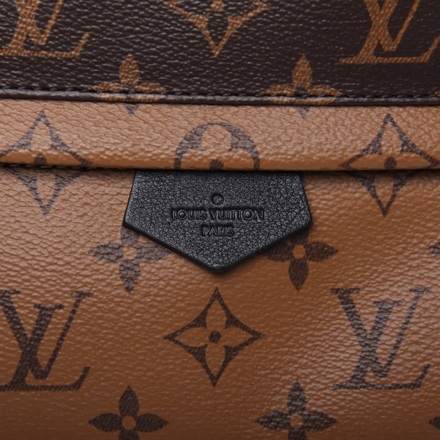 Reverse Monogram Palm Springs Backpack PM