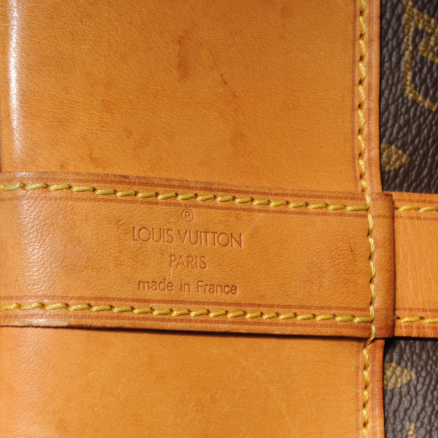 Monogram Randonnee GM Backpack