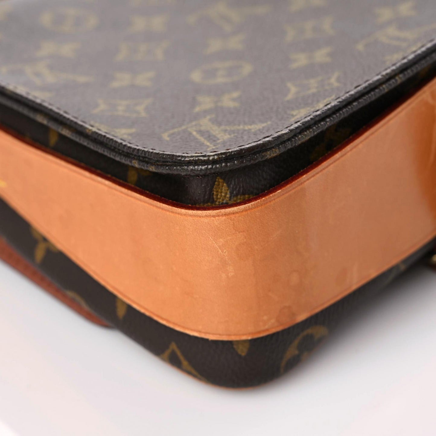 Monogram Cartouchiere 22