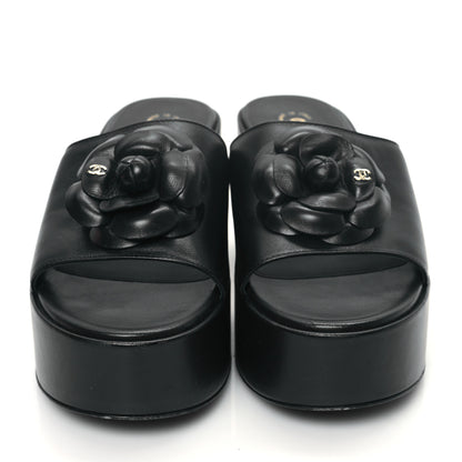 Chanel Lambskin Camellia Platform Mules 38.5 Black 2 of 8