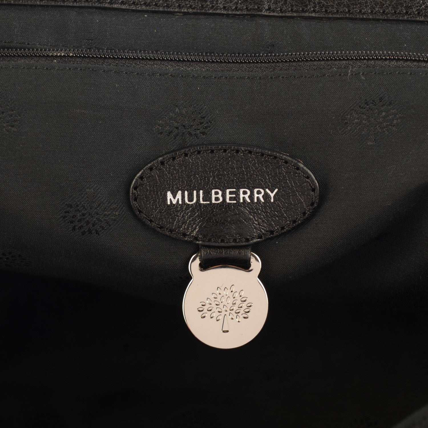 Mulberry Polished Buffalo Medium Alexa Black 5 of 9