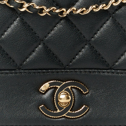 Chanel Sheepskin Quilted Small Vintage Mademoiselle Flap Black 9 of 11