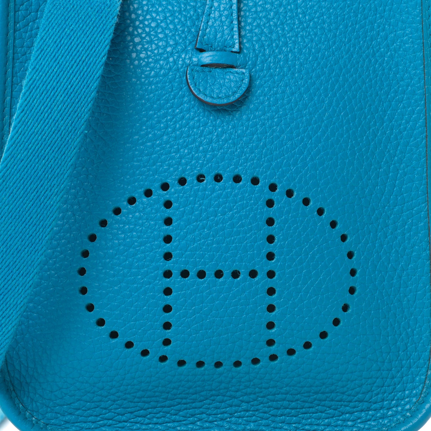 Taurillon Clemence Evelyne TPM Bleu Zanzibar