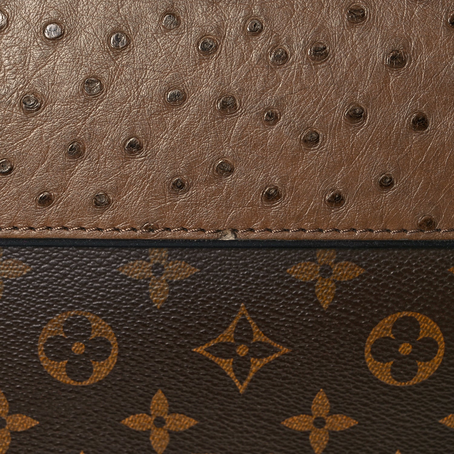 Louis Vuitton Monogram Ostrich Majestueux PM Yellow 10 of 10